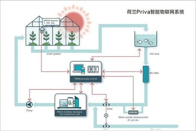 浙江“新田鋪”智慧農業蔬果工廠正式投產 智能控制系統集成引領農業新變革